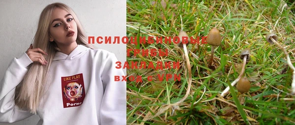 2c-b Балахна