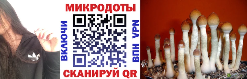 Псилоцибиновые грибы прущие грибы  магазин  наркотиков  omg как войти  Вилючинск 